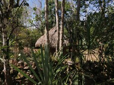 terreno en venta en valladolid con 2 cenotes 32 hectáreas