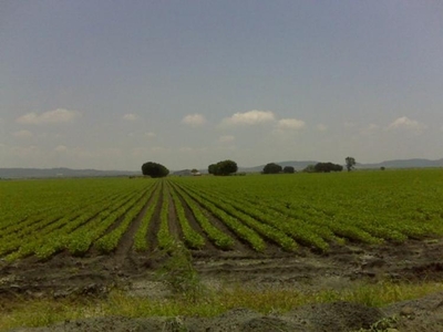Rancho en Venta en Esteros Altamira, Tamaulipas