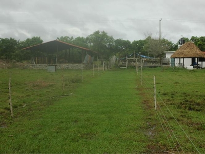 Rancho en Venta en Hueytepec, Veracruz