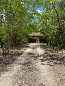 Terreno en Venta en Leona Vicario, Quintana Roo