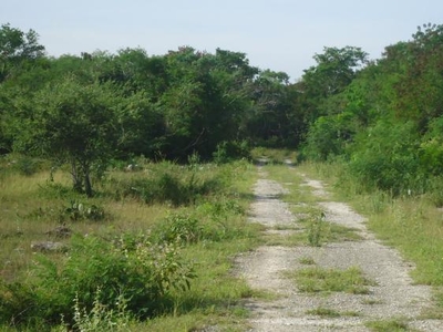 Terreno en Venta en Paraíso Progreso, Yucatan