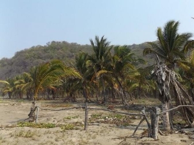Terreno en Venta en playa larga Zihuatanejo, Guerrero