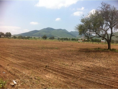 Terreno en Venta en Santa Cruz de las Flores Tlajomulco de Zúñiga, Jalisco