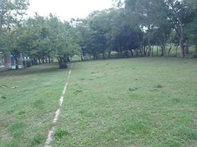 Hermosa finca campestre con dos casas y alberca arboles frutales y cedros