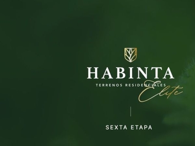 Lotes de Terreno en Venta / Habinta -Chicxulub - Yucatán