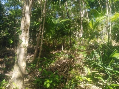 Oportunidad de Terreno de 2000 m² frente a Laguna de Bacalar