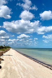 Terrenos en las playas de Yucatán a 100 metros del mar. Listos para escriturar