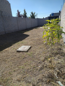 Terreno En Santa Ana Tlachihualpa Edo. De Mex.