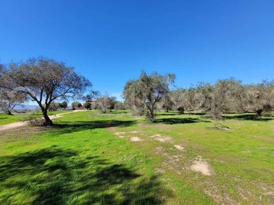 Terreno en venta en Ex Ejido Chapultepec, Ensen...