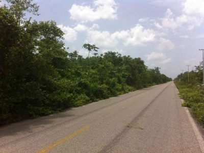 Terreno en Venta en Ruta de los cenotes entre Puerto Morelos y Leona V Puerto Morelos, Quintana Roo