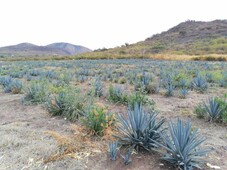 terreno en venta en ixtlahuacan de los membrillos, ixtlahuacán de los membrillos, jalisco