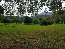 terreno comercial carretera nacional a la altura de esfera mercadolibre