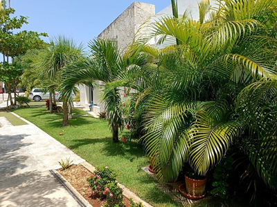 Casa Amueblada En Renta Playa Del Carmen