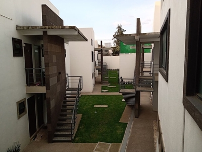 Departamento Ph En Renta Con Roof Garden Privado