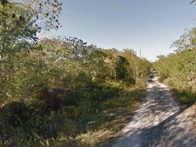 Venta De Terreno Para Inversion En Xcunya Merida Yucatan