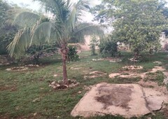 terreno en venta al norte de mérida yucatan méxico chichi suarez