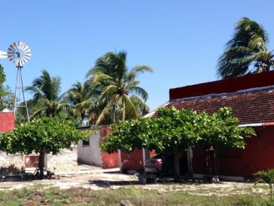 Finca en venta en el oriente de Yucatan